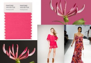 Pantone honeysuckle