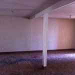 Pink carpet, pink paint...we like pink,but this didn't work